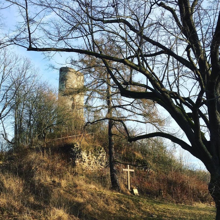 Ferienwohnungen Lausbuben & Zicken - Im Gruenen Herzen Deutschlands Herleshausen Exteriér fotografie